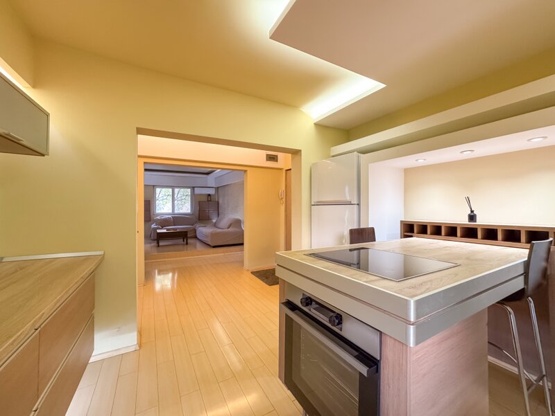 Unirii, Anastasie Panu, apartament mare si spatios, centrala proprie